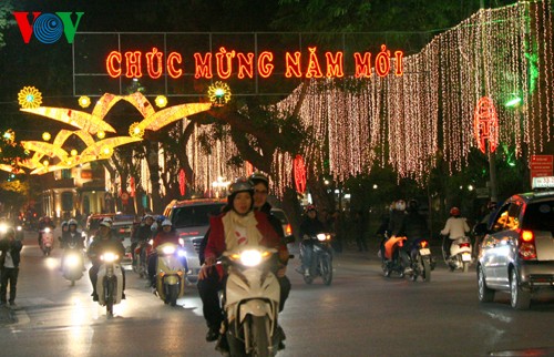 越南各地和海外越南人纷纷举行迎新活动