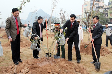 胡志明共青团中央发起种植树木保护环境活动