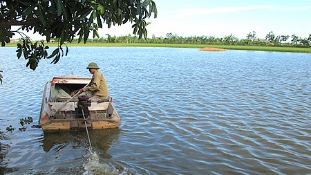 越南举行响应世界水日国家级大会