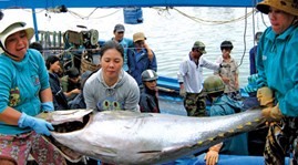 越南农业与农村发展部与富安省政府举行金枪鱼价值链论坛