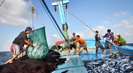 越南工会组织协助渔民从事远海捕捞