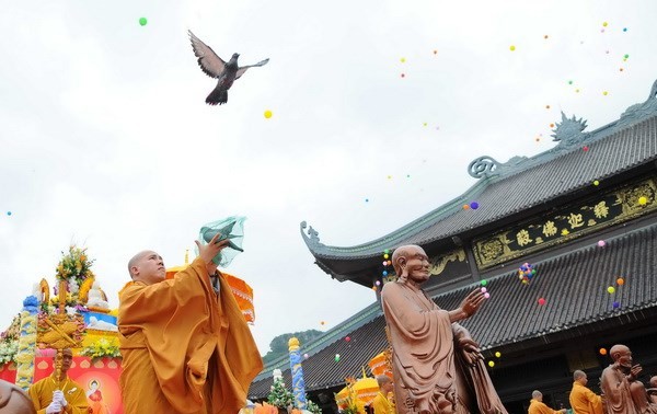 “佛中的莲芯”国际佛教文化艺术表演活动在宁平省举行