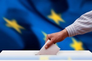 欧盟21国选民参加欧洲议会选举投票