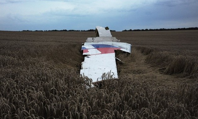 载有近300人的马航客机在乌克兰东部坠毁