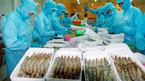 越南虾出口增长良好