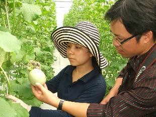 胡志明市积极推动农业科技应用