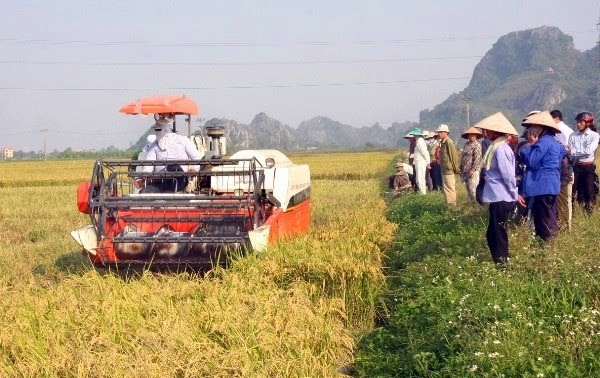 越南农业生产中的种植、养殖、水产业结构重组