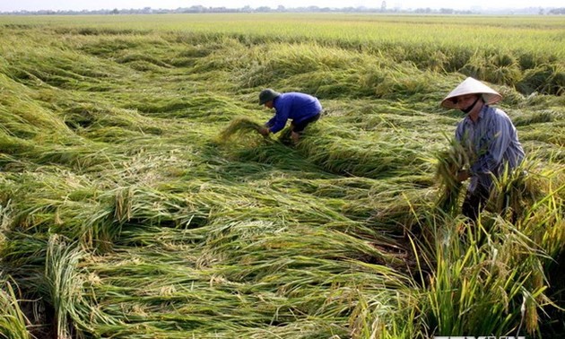 越南加入应对气候变化农业全球联盟