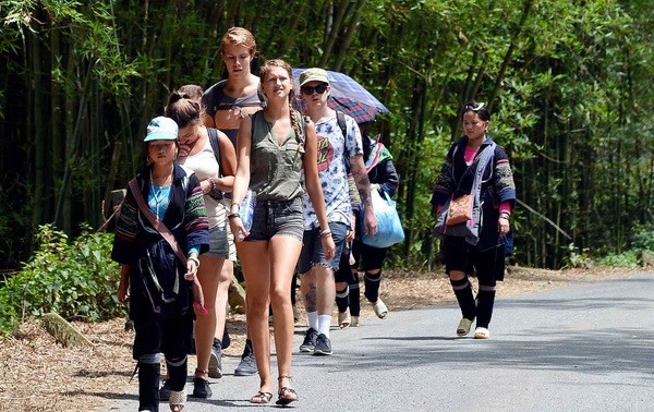 越南今年接待国际游客已达六百多万人次