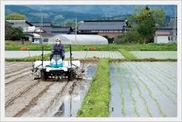 越南实现农业可持续发展