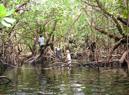 昆仑国家森林公园被列入《拉姆萨尔湿地公约国际重要湿地名录》