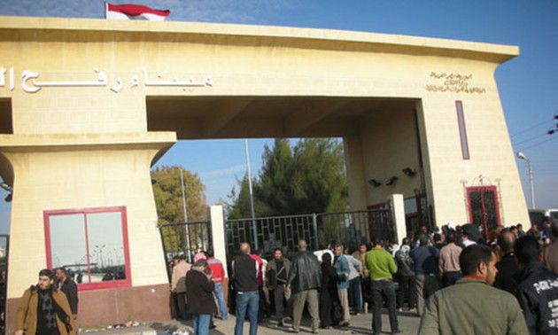 埃及确定人民议会选举日期