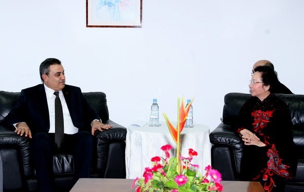 越南国家副主席阮氏缘会见毛里求斯、突尼斯和海地三国领导人