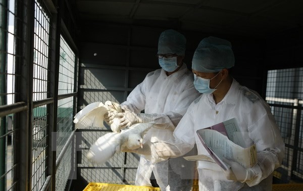 中国香港确诊首个H7N9禽流感病例