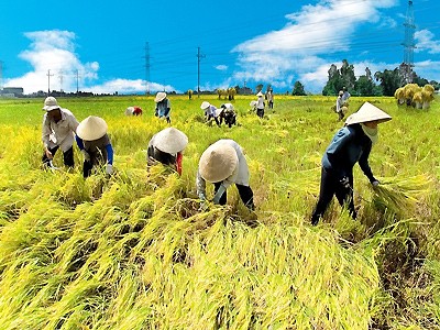 越南国家主席张晋创会见越南农业与农村发展总会代表