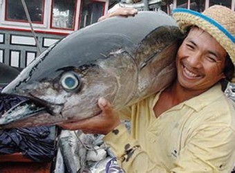 越南的金枪鱼捕捞业
