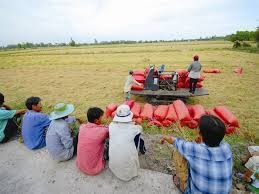在现阶段建设越南新型农业合作社