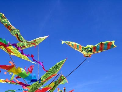2015年国际风筝节将在巴地头顿省举行