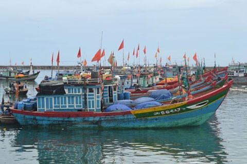 广义省成立9个渔业社