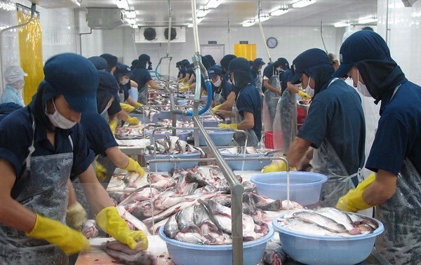 越南无鳞鱼向欧盟市场可持续出口座谈会在比利时举行