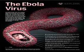 世卫组织：埃博拉疫情死亡病例超过1.1万个