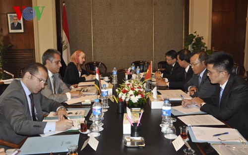 越南和埃及举行政治磋商