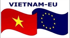 越南参加比利时“新欧洲人”联欢活动