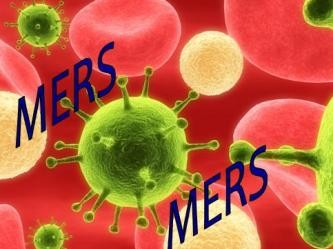 中国和美国研制出MERS病毒抗体