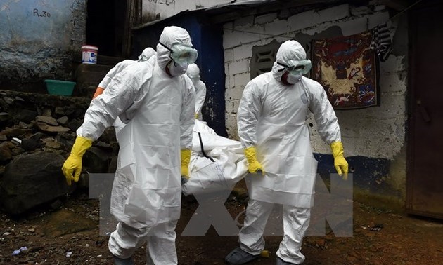  利比里亚确认再发现两例埃博拉新病例