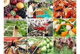 越南将参加莫斯科国际食品展