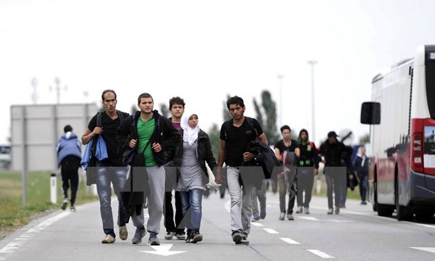 德国、奥地利和瑞典呼吁欧洲团结应对移民危机