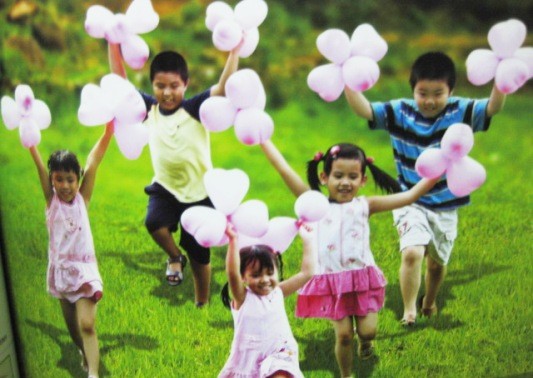 越南国会青少年儿童文化教育委员会向《儿童保护、照顾和教育法（草案）》提供意见