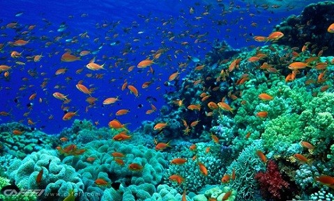 六十个国家承诺保护海洋环境