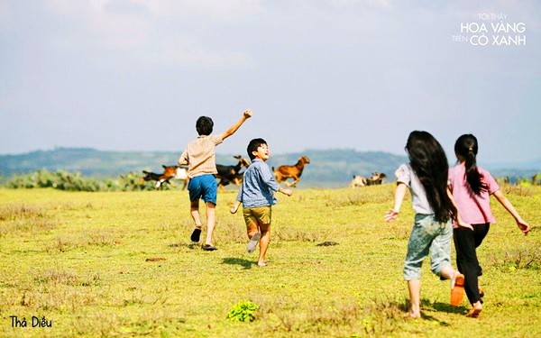 《绿地黄花》——表现越南乡村童年生活的成功之作
