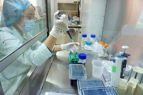 越南防治登革热新疫苗的试验结果良好
