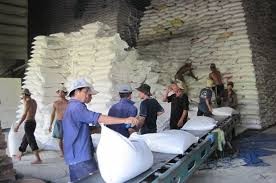 越南和泰国的大米出口量占全球近50%