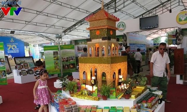 2015年莫斯科越南优质商品展销会即将举行