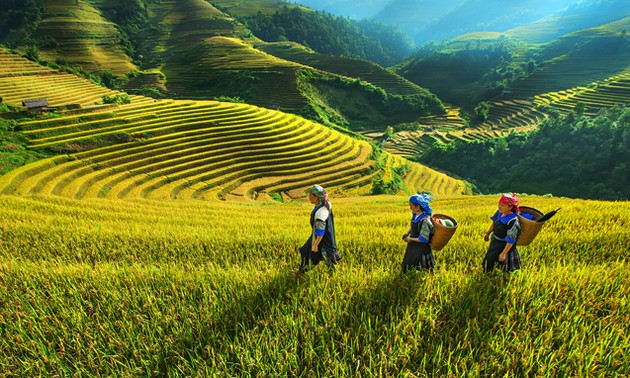 越南西北地区旅游推介与投资促进会举行