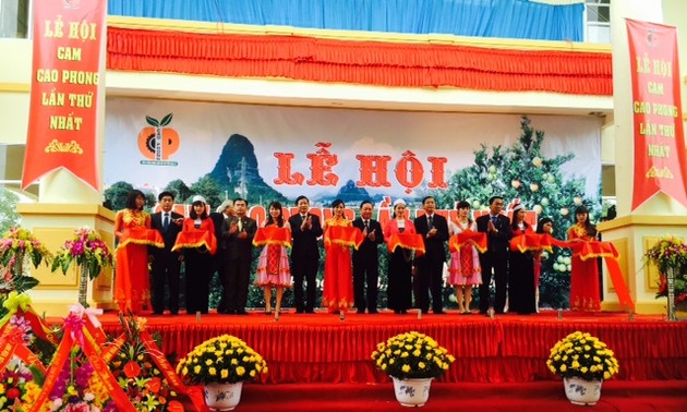 越南和平省高峰橙子节吸引数万居民和游客参加