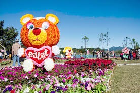 2015年第6次大叻花卉节即将举行