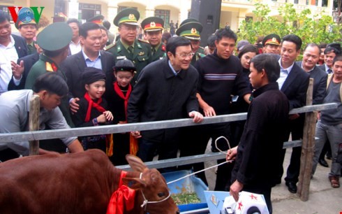 越南国家主席张晋创出席“送种牛帮助边境地区贫困者”活动总结会