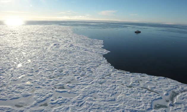 2015年北极地区气温达史上最热