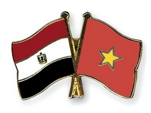 越南驻埃及大使杜黄龙向埃及总统塞西递交国书