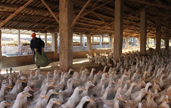 中国发现一例感染H5N1禽流感病例
