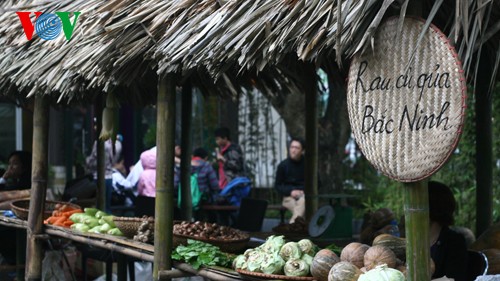 越南春节乡村集市在河内举行