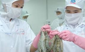 今年越南虾产品对美出口将增加