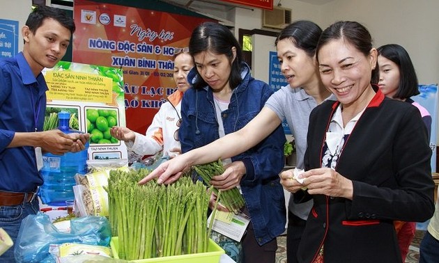 越南2016年丙申春节特色农产品和盆景日活动展销南方特产