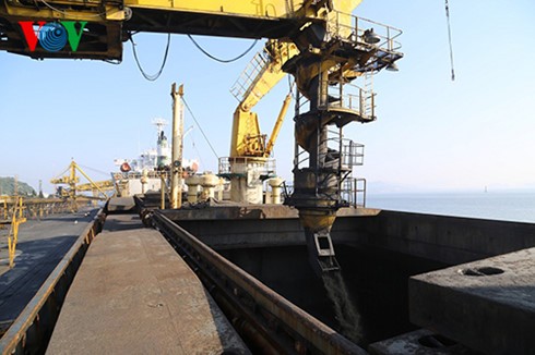 广宁省：进港煤船冲年喜  运载3.37万吨煤炭出港