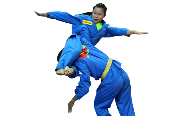 第一次越南传统武术国际锦标赛即将举行