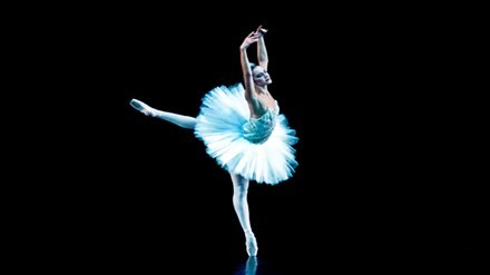 名为《巴黎芭蕾舞》的欧式芭蕾舞表演即将在河内举行